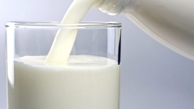 Кои млечни продукти са полезни?