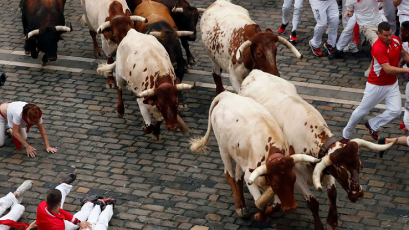 Разярените бикове пометоха стотици хора в Испания (ВИДЕО)