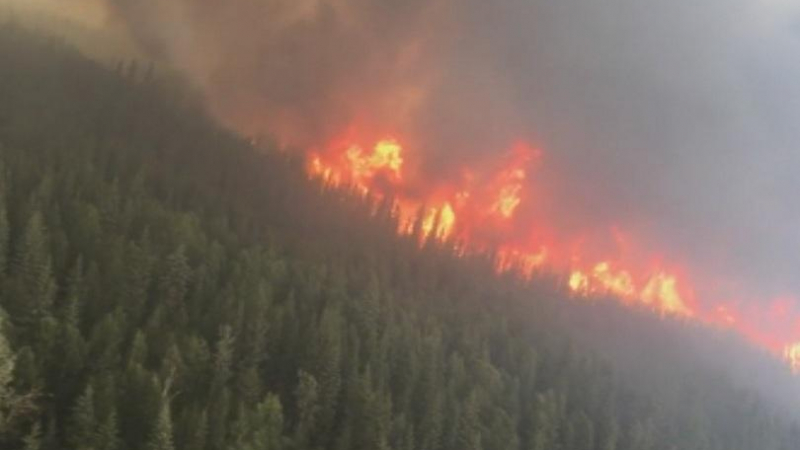 В Аляска продължава борбата с горски пожари