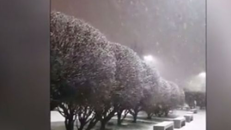 Сняг заваля в най-южния град на планетата, известен като "края на света" ВИДЕО