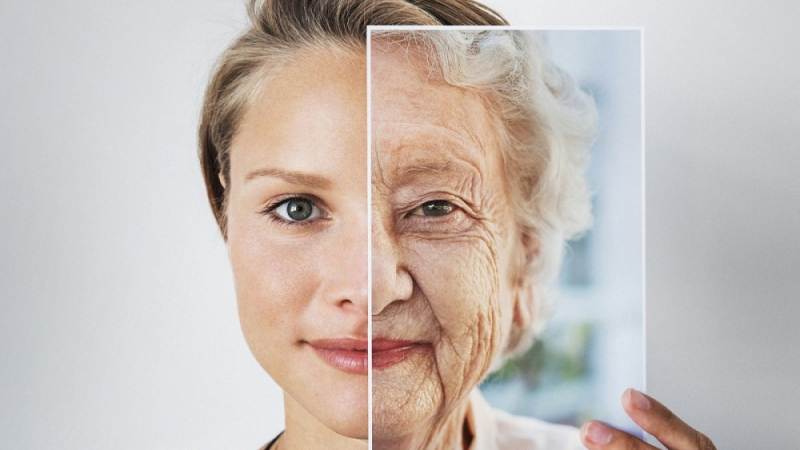Учени разкриха кога започва необратимото стареене (ВИДЕО)