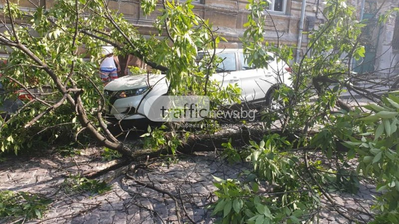 Страшен инцидент на частен паркинг в Пловдив