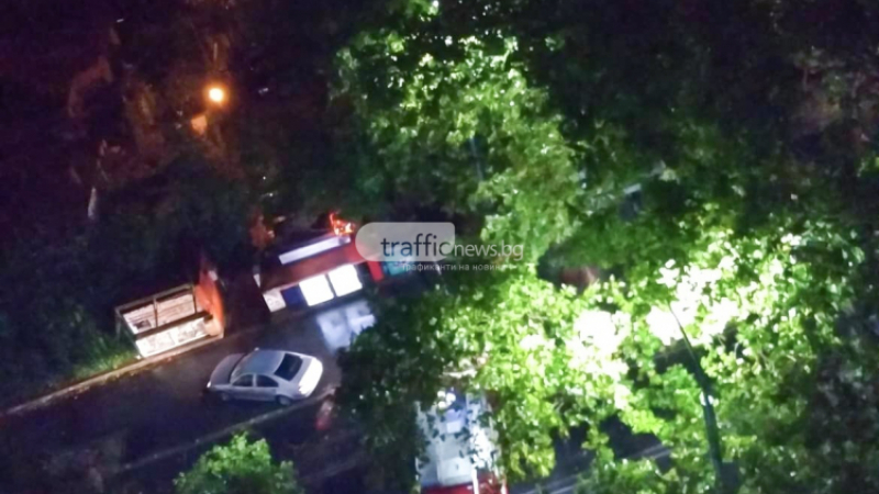 Мощна буря и в Пловдив, огромно дърво се стовари до спирка
