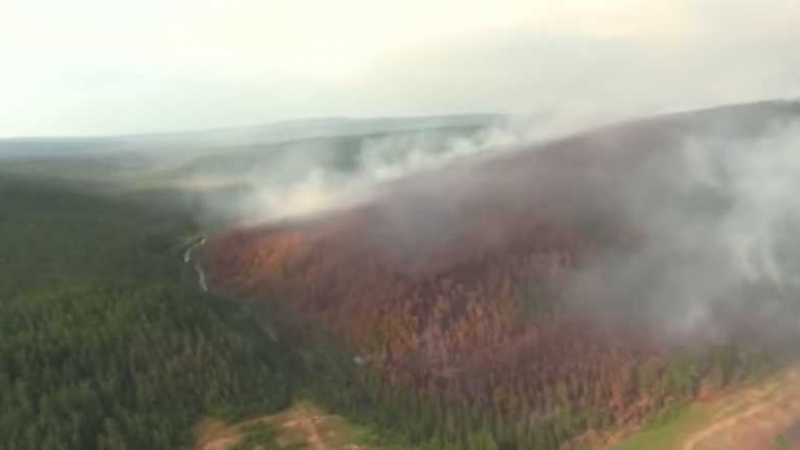 Лъсна истината за драматичната "СНИМКА" от пожарите в Сибир
