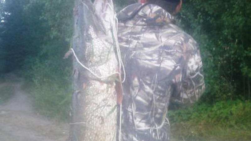Рибар извади истинско чудовище от река на спининг СНИМКИ