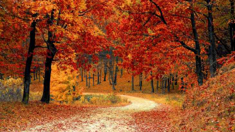 Павел Глоба: 4 зодии ще се радват на неимоверен късмет тази есен