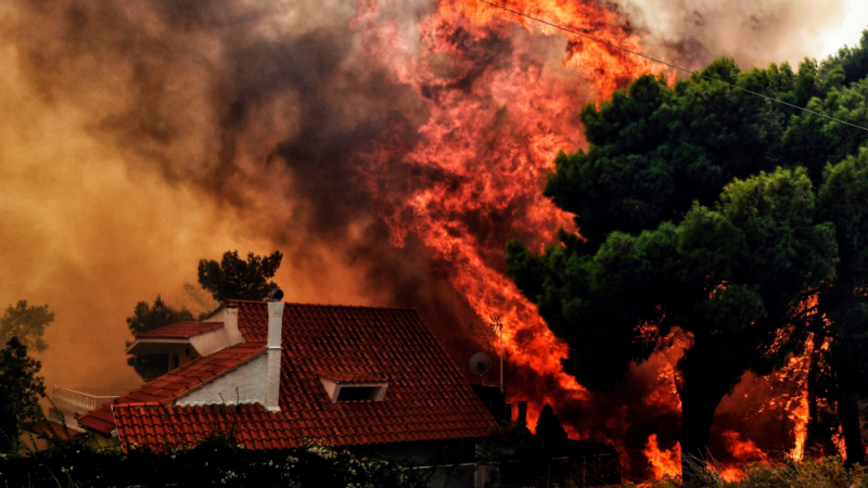 Само началото: Голям пожар започна да поглъща гръцки остров 