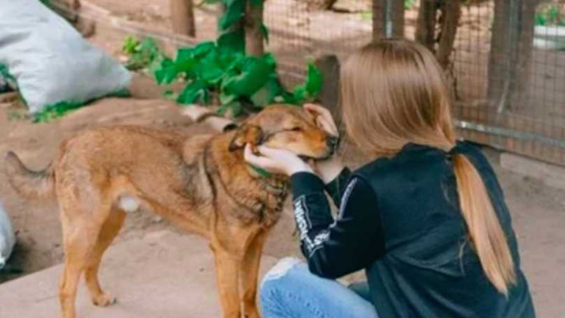Ученичка даде бащината си издръжка в приют за бездомни животни