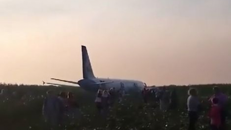 Горещи новини за приземилия се в нива самолет Еърбъс А321, причината е... ВИДЕО