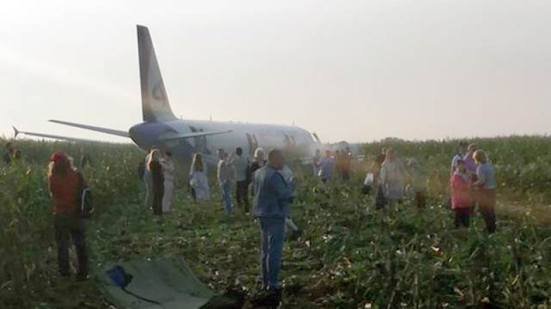 Мрежата изумена от майсторството на пилотите, приземили по корем Airbus A321 с 233 души на борда в нива край Москва ВИДЕО