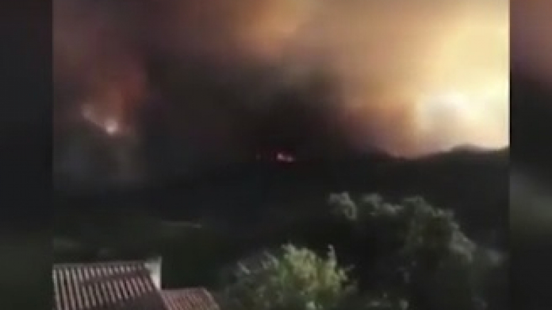 Мащабните горски пожари стигнаха до Франция ВИДЕО