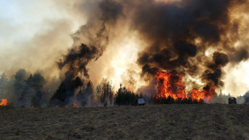 Огнена опасност в три области на страната утре КАРТА