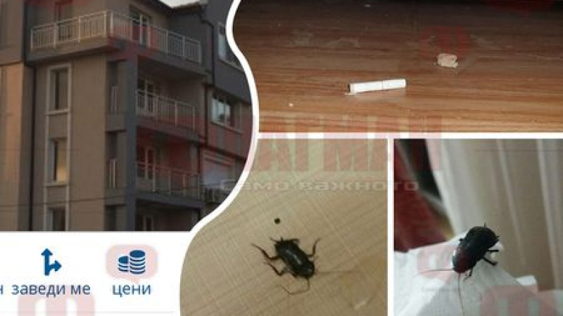 Собственикът на хотела с хлебарките в Поморие с интересна версия за инцидента 