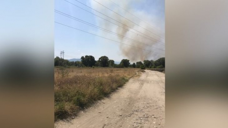 Горски пожар в района на двореца в Кричим