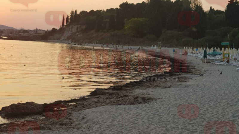 Гнусна миризма на гнилоч поваля туристи на плаж в Несебър