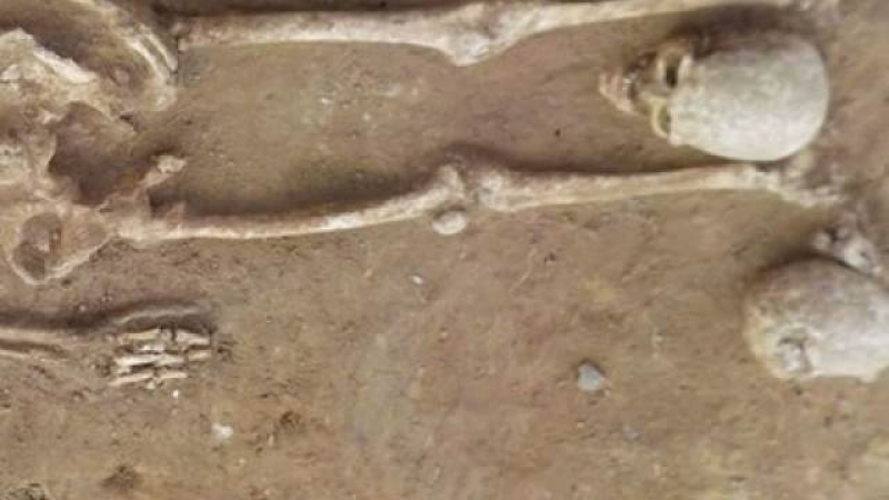 Археолози откриха скелети с извънземни черепи в Хърватия