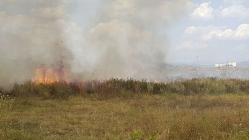 Страшен пожар на метри от циганската махала на Кюстендил 