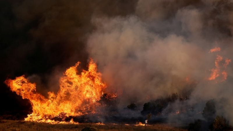 Сигнал до БЛИЦ! Страшен пожар в покрайнините на София 