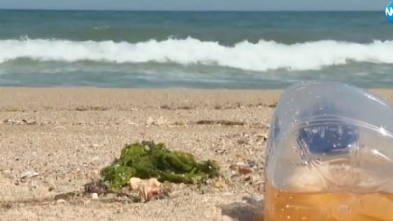 Нова зловеща и гнусна гледка на плажа край Шкорпиловци смрази туристите ВИДЕО