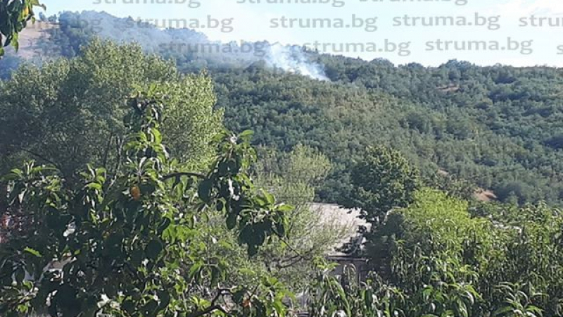 Пожар в Благоевградско вдигна огнеборци на крак СНИМКИ