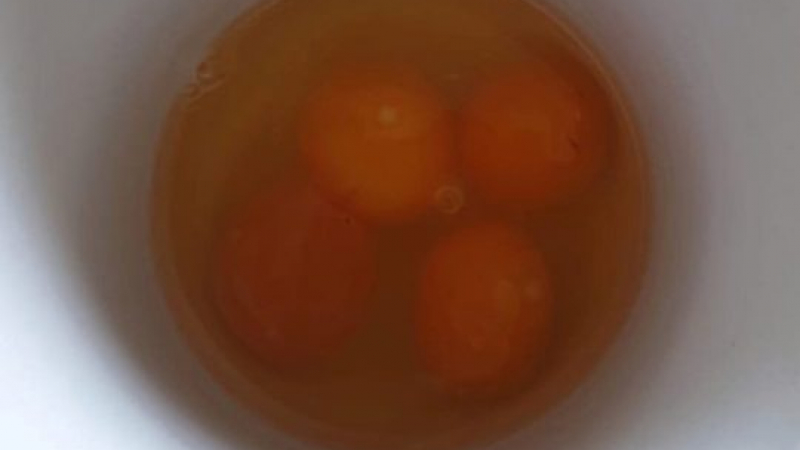 Откриха уникално яйце с четири жълтъка СНИМКИ