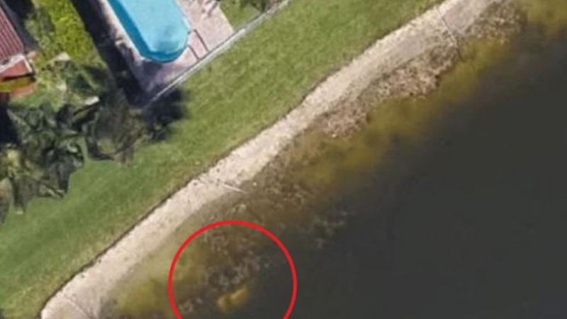 Мистерия с труп от преди 22 години беше разкрита от Google Earth