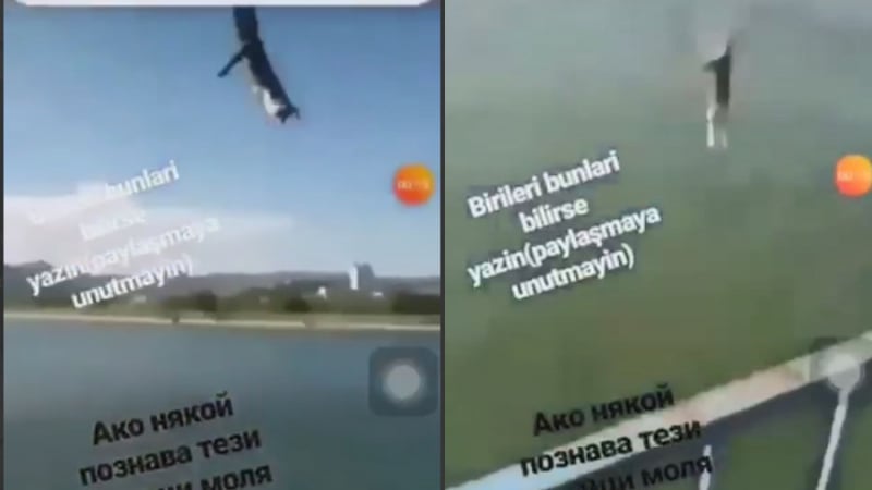 Двама пишлигари извършиха нещо отвратително с котка в Кърджали ВИДЕО