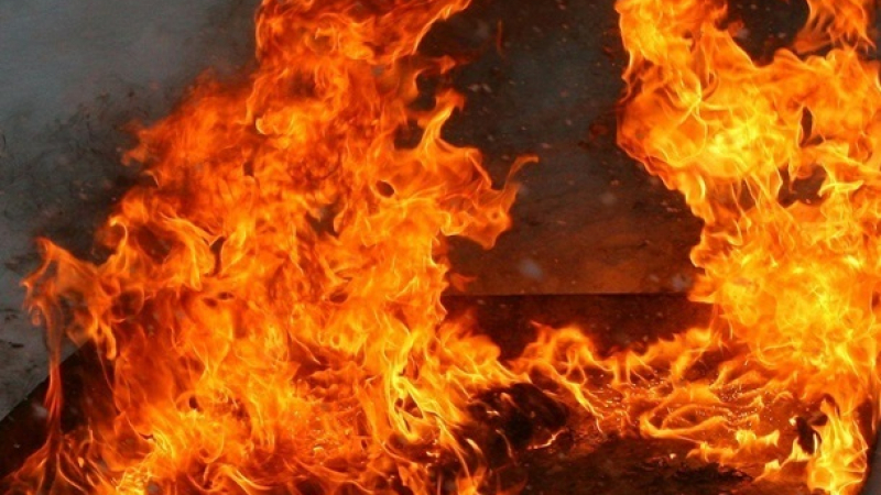 Пожар бушува близо до училище и къщи в Асеновград ВИДЕО