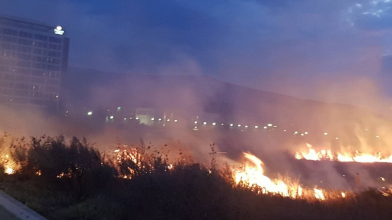 Последни новини за пожара, който лумна край столичното летище