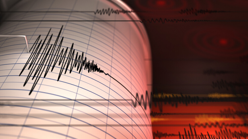 Силно земетресение разтърси Чили ВИДЕО