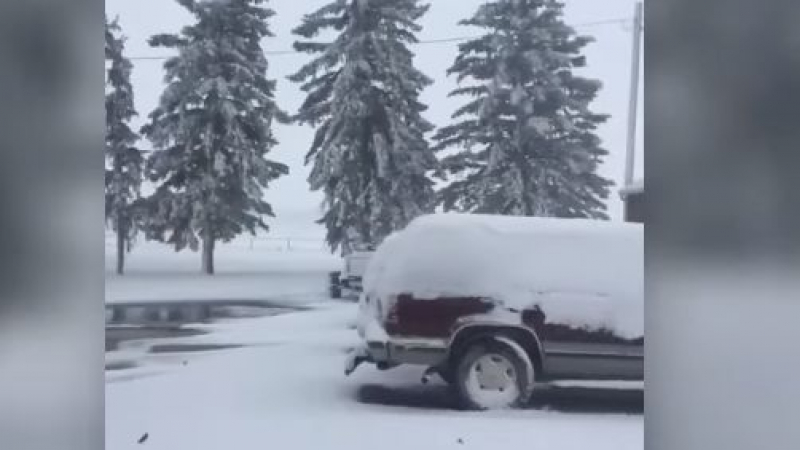 Септемврийски сняг заваля над части от Монтана ВИДЕО