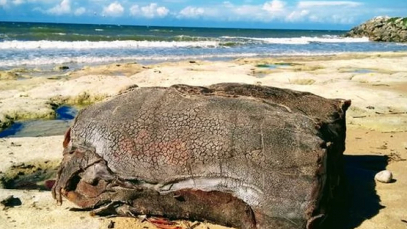 На тези плажове от години морето изхвърля странни сандъци, тежащи 100 кг, а мистерията откъде идват остава
