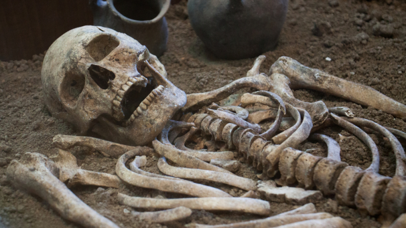 Зловеща находка: Откриха приковани за ковчег скелети с камък между зъбите