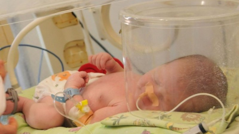Хорър със стволови клетки на 7500 наши бебета: Майки ги търсят от Полша до Португалия