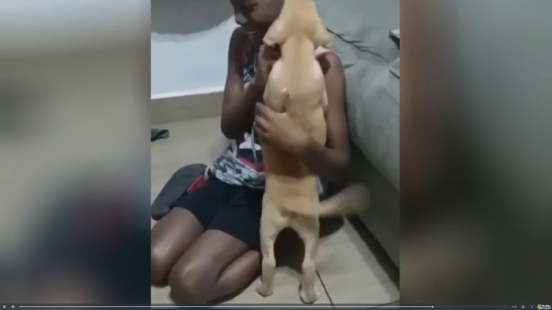 Реакцията на момче към подареното му кученце трогна мрежата ВИДЕО