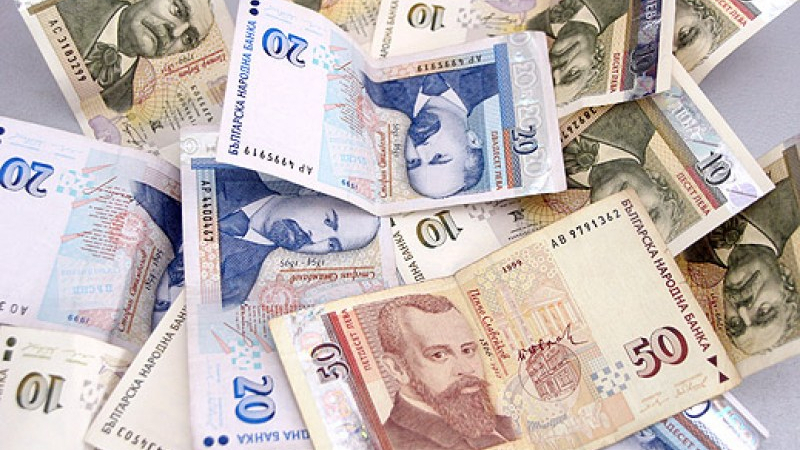Последни данни за парите, с които българите живеят на месец 