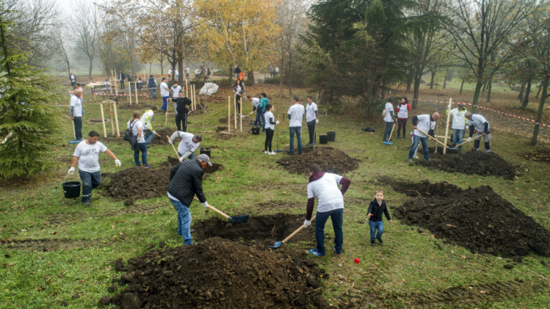 Доброволци от „Джи Пи Груп“ засадиха  над 1600 дървета в София и Бургас