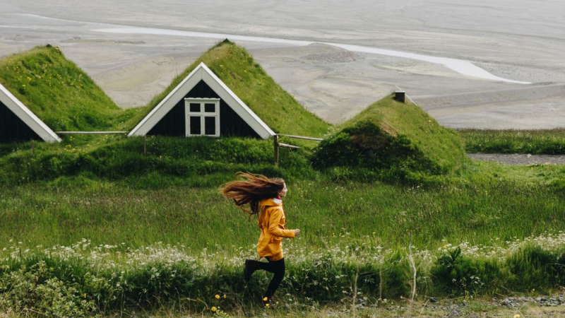 Руски блогърки разказаха що за чешити са исландците и как се живее с тях