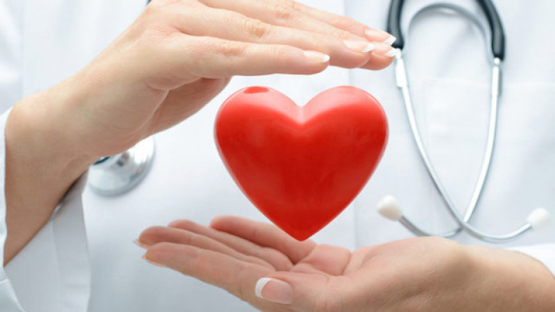 Кардиолог посочи как да спасим сърцето си от фатална развръзка