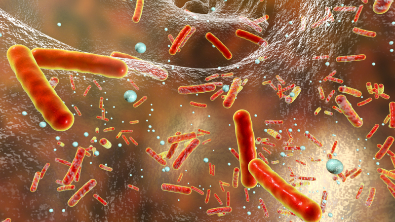 В 5 наши болници откриха супербактерии, за които няма лечение