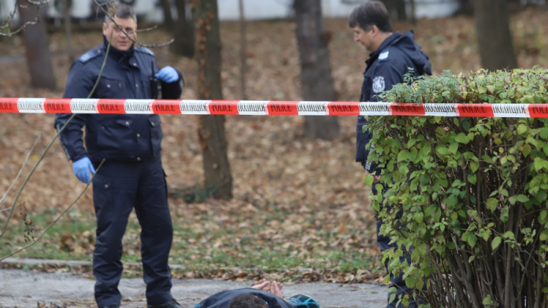 Разследват жестоко убийство на млада жена в Пернишко, арестуваха...