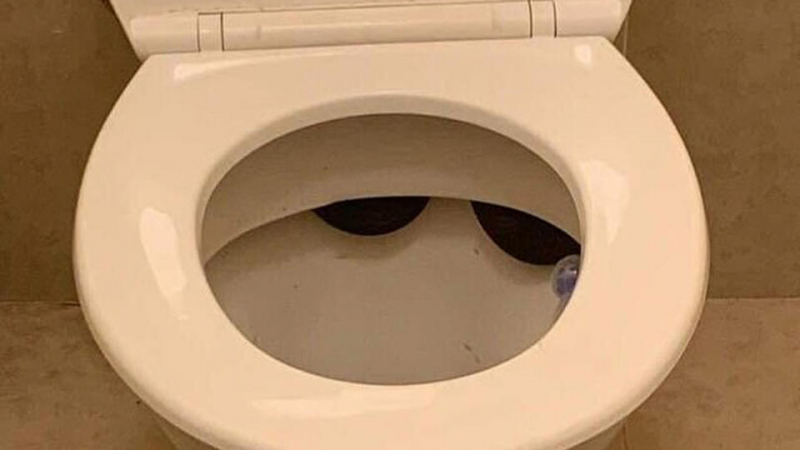 Мъж се вцепени от това, което любовник на майка му откри в тоалетната СНИМКА