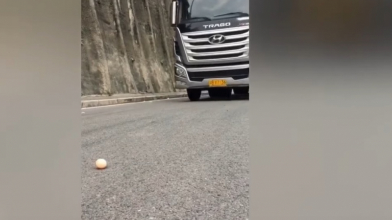 Професионалист: Шофьор мина с голям камион над яйце между гумите, без да го счупи ВИДЕО