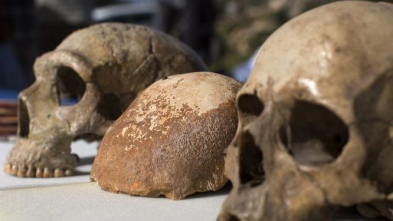 Специалисти разкриха загадка, свързана с изчезването на неандерталците