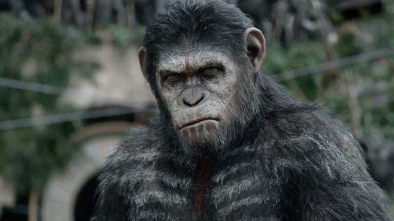 National Geographic: Маймуните станаха човекоядци, отвличат деца и ги разкъсват!