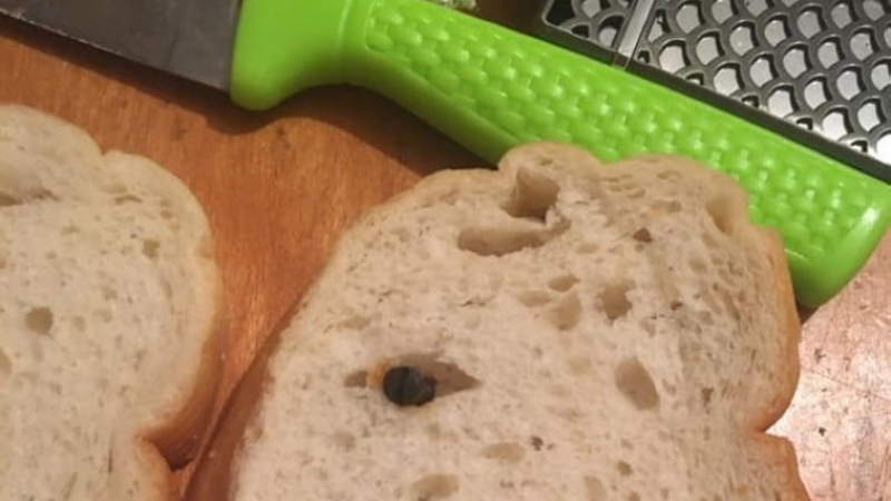 Жена от Белослав попадна на нещо много опасно в хляб СНИМКИ 