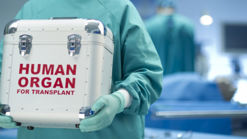 Рекорд в Испания: 19 донора на органи и 38 трансплантации за един ден 