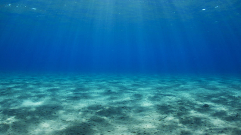Учени откриха на дъното на океана хиляди загадъчни обекта 
