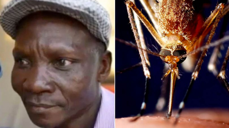 Феномен: Мъж уби с газовете си всичките комари в радиус от 10 км, изучават го