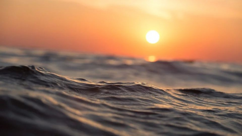 Кошмарна прогноза за Черно море: Водата се превръща в каша, а отгоре ще плуват...